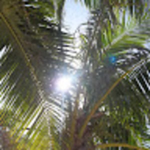 Meet your Posher, Phyllis